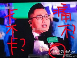 吴胖联盟的困局：红墙哥事件后的反思