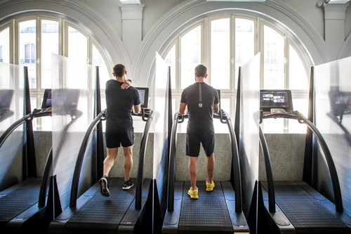 健身房里的猫咪自己开跑步机跑步，太聪明了！