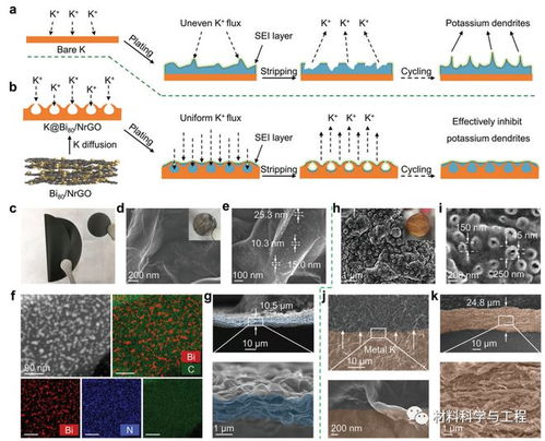 武汉大学Adv Mater | Osteomimix：一种多维仿生级联骨修复策略