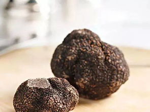 黑松露酱油：舌尖上的奢华与日常的奇妙碰撞