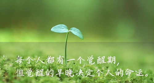 读书笔记《认知觉醒》：如何拥有耐心？