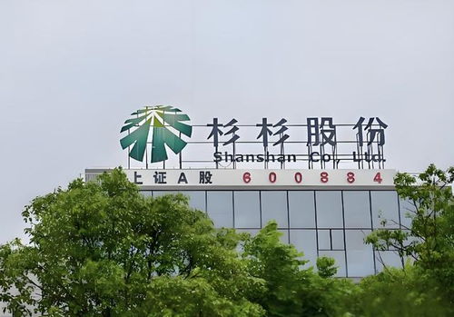 杉杉股份的“至暗时刻”：从辉煌到低谷，它经历了什么？