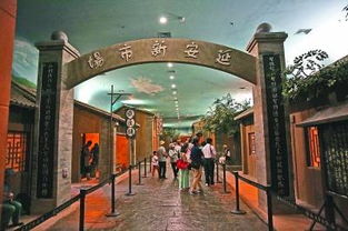 在河北博物院邂逅七色宝莲的前世今生