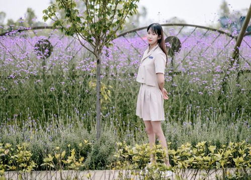 毛晓彤的花海梦境：一场治愈心灵的艺术之旅