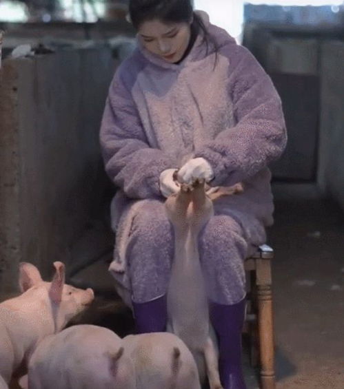 00后女生毕业选择养猪场工作，月薪8千背后的故事