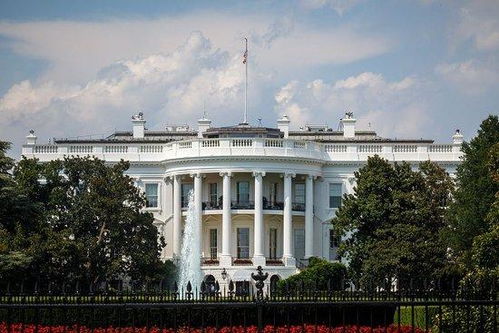 被解雇的联邦政府雇员：我被自己的国家背叛了