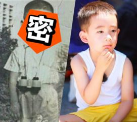 陈小春伴舞撞脸王楚钦：一场意外的娱乐圈与体育圈碰撞