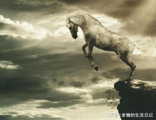 白马离世，义举永存：一个关于救赎与传承的故事