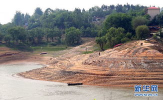 重庆钟灵水库干旱？谣言！真相竟是这样……