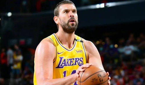 王鹤棣因湖人交易事件心态崩了？真相竟是如此