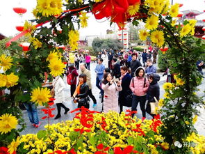 我家小菊的“结扎”抉择：一场关于女性命运的抗争