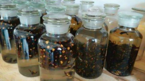 胡蜂泡酒：探索自然与健康的奇妙结合