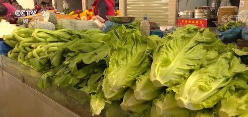 蔬菜价格大跳水，菜篮子轻松了！