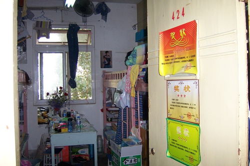 记忆中的校园：那片黄土地上的温暖