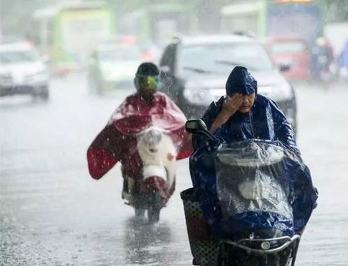 我需要一场夏日里的大雨倾盆