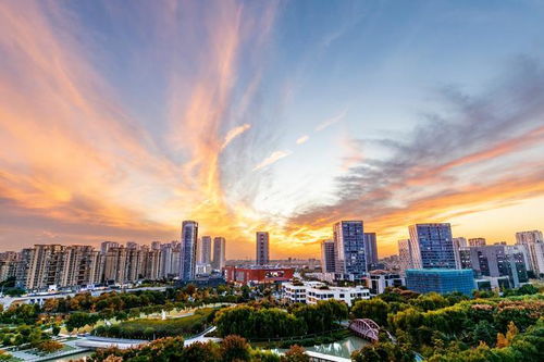 嘉兴高新区“空港秀水创新绿谷”：一场与未来的双向奔赴