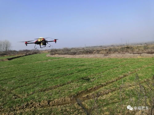春耕开启“高效飞行模式”，田野奏响丰收序曲