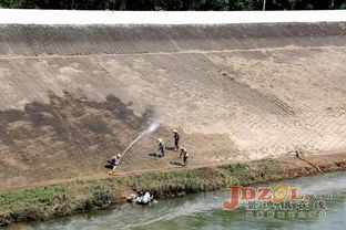 生态实践出成果，绘就和谐共生“美丽画卷”