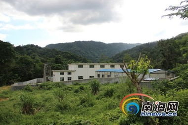 新桥刚竣工就歪了？村民反映问题背后的故事