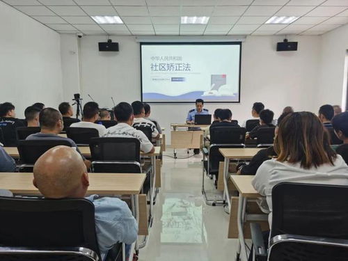 社区成语宣传社会实践：一场别开生面的文化之旅