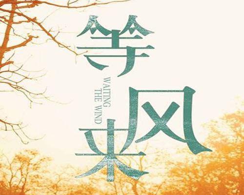 等风来：主动拥抱变化，书写人生新篇章