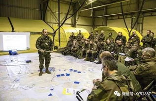 亲历北约军演：俄罗斯与北约的微妙博弈