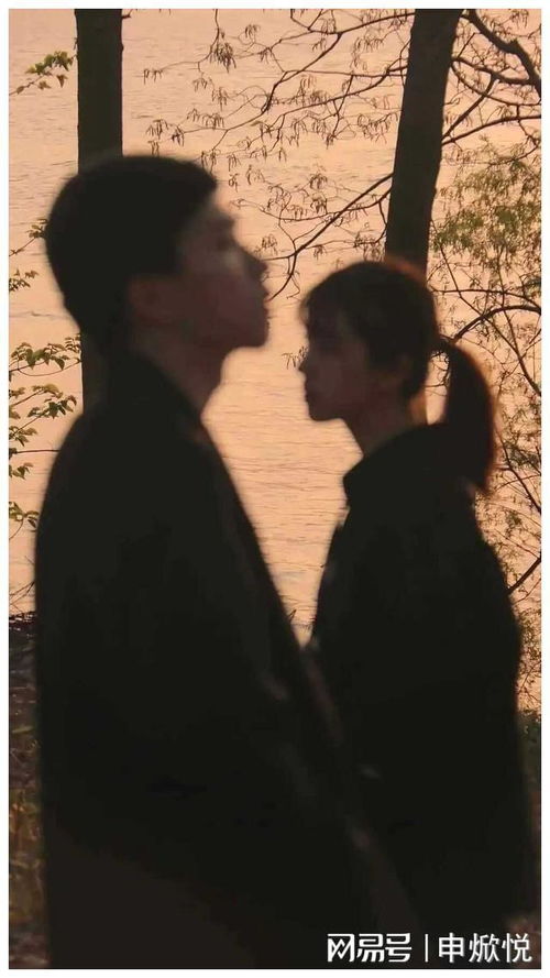 本该去爱的人：一场关于选择与真心的自我探寻