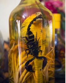 蝎子泡酒：如何正确调配养生药酒？