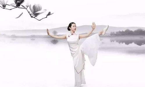 太极五星捶120式-杨丽太极拳知识大全：从零基础到精通的修炼之路