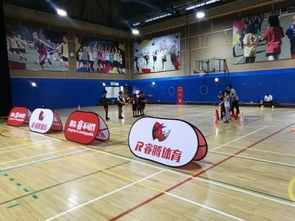 抢到篮球课：和平里一小家长的“战斗”日常