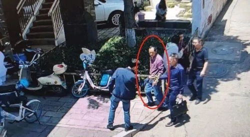 潜逃28年的命案嫌犯终落网：放羊为生的“漂白”生活背后