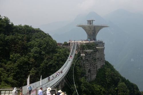 在峡江的转弯处：一本书带来的生命启示