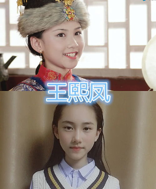 拿王熙凤和晴雯来对比大S，有多少相似度？