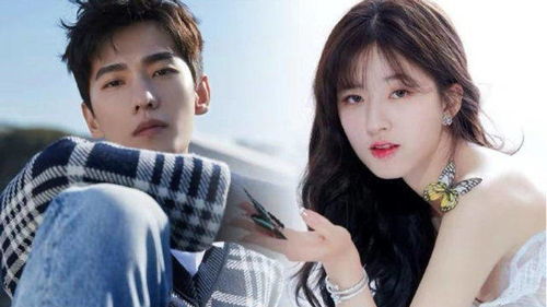 赵露思与小谢的初次相遇：甜蜜互动背后的故事