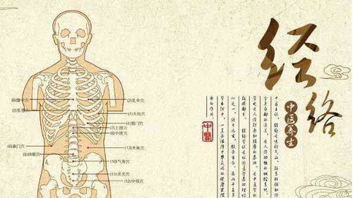 悟者杨永林：心无病，世间亦无疾