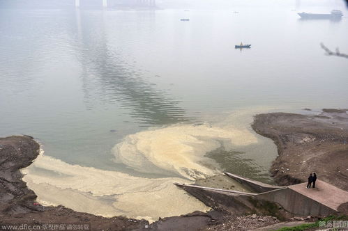 重庆一地黑臭水排入长江 当地回应：全力治水，守护长江生态