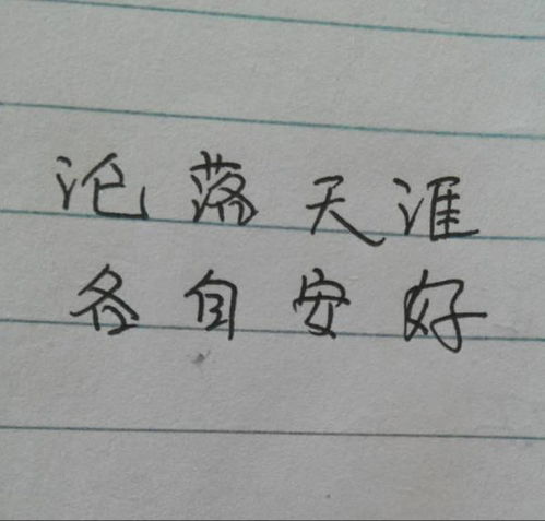 从简书到书法：在文字中找到初心