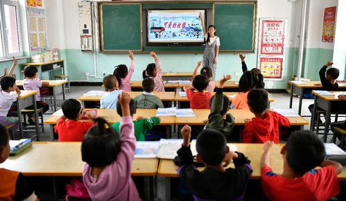 小学老师的一天：忙碌背后的点滴真实