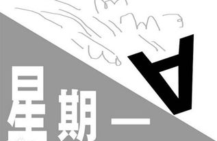 黑色星期一：消费狂欢背后的冷思考