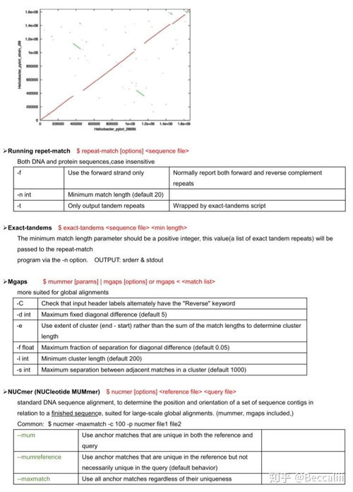 序列比对软件 MUMmer 简单上手（一）：小白也能轻松搞定