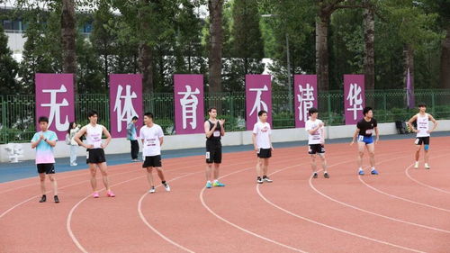 体育的精神：从个人奋斗到团队荣耀