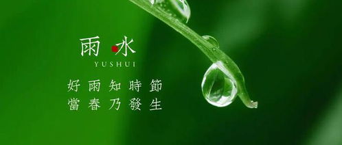 雨水节气：春回大地，细雨润万物