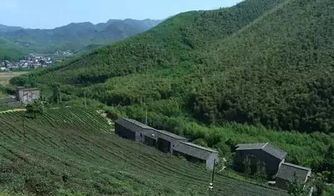 不用去莫干山！芜湖这个百年古村落，世外桃源般的天然氧吧