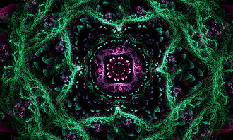 探索分形之美：从数学到艺术的奇妙旅程