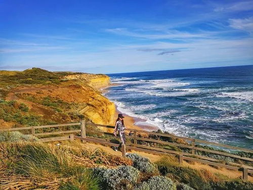 阿利坎特的阳光日记：一个留学生的温暖日常