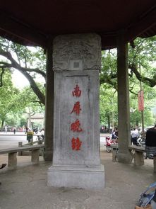 南屏晚钟：一场穿越古今的文化之旅