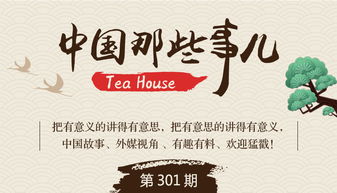 和平曙光：我见证中方支持乌克兰和平的努力