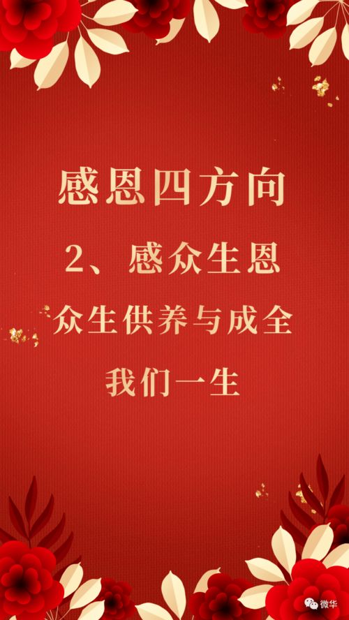 感恩(四)：那些生命中值得铭记的温暖瞬间