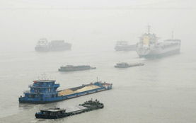 长江镇江段惊现死亡江豚：生态警钟再次敲响