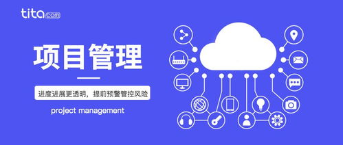 如何借助项目生命周期，对项目过程进行规划和控制？